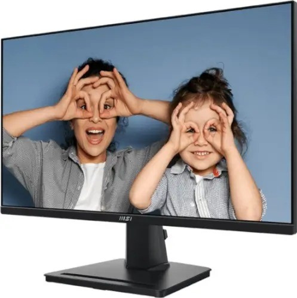 MSI Business computer monitor "25 PRO MP251