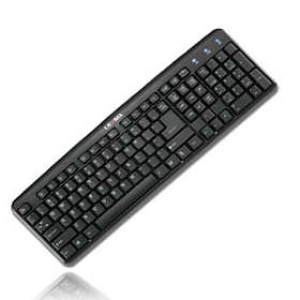 Standard Keyboard- USB/PS2 port
